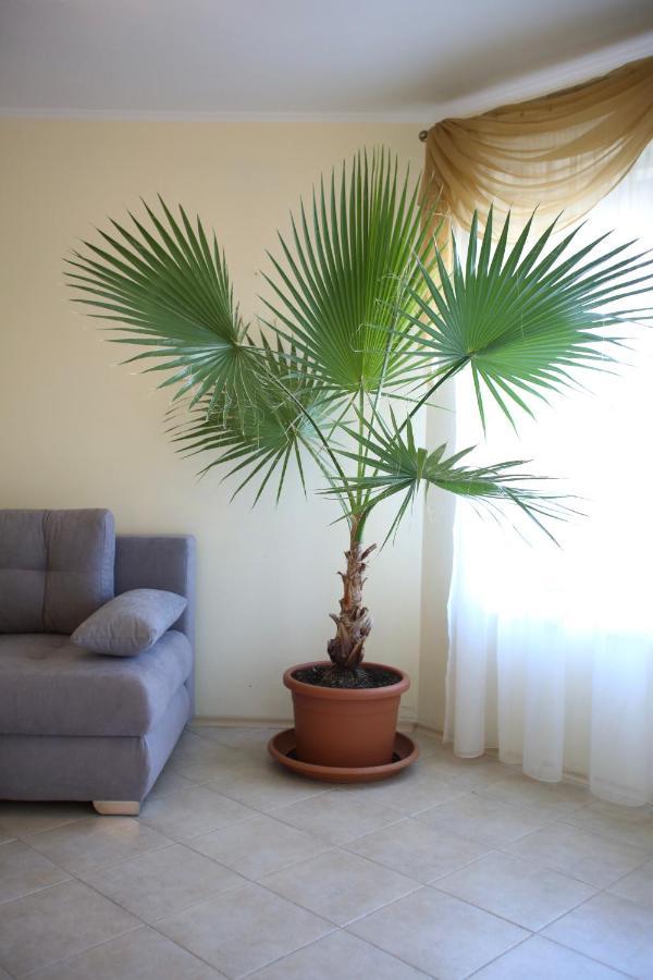 Villa Livia Boutique Apartments Ravda Buitenkant foto